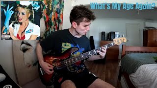 blink182  Whats My Age Again Bass Cover [upl. by Ahsenal]