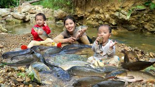 Encounter a huge school of fish  catch fish and trap fish on a rainy day  make smoked fish [upl. by Liddie]