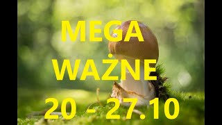 🌻💝✨TAROT MEGA ważne na tydzień 2010  2710 🌻💝✨ czasówka w opisie [upl. by Veronique]