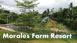 Morales Resort in Calauan Laguna  Pineapple Farm  Kayaking  Farm Resort in Laguna [upl. by Dearborn]