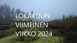 Lokakuun viimeinen viikko puutarha epaonninenpuutarhuri garden [upl. by Aikemehs782]