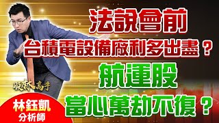 【法說會前 台積電設備廠利多出盡？航運股 當心萬劫不復？】 股林高手 林鈺凱分析師 20240708 [upl. by Eireva202]