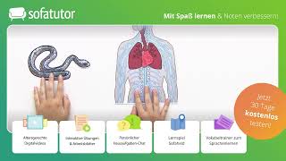 Das zentrale Nervensystem ZNS [upl. by Altheta]