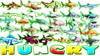 HUNGRY SHARK WORLD ALL 27 SHARKS SUPERSIZED MR SNAPPY [upl. by Nnylidnarb]