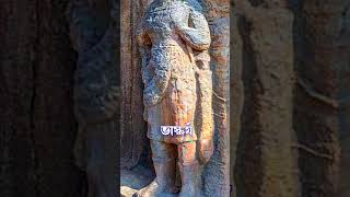 Hathigumpha Inscription at Udayagiri Hills shorts hathigumpha [upl. by Anotyal759]