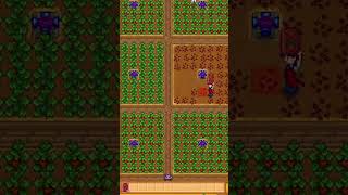 Everything you need to know about Strawberries in Stardew Valley shorts stardewvalley gaming [upl. by Lamraj665]