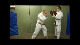 Judo for Self Defence Atemi Waza Part 1 amp PreEmptive Strikes Ray Sheerin [upl. by Swithin155]