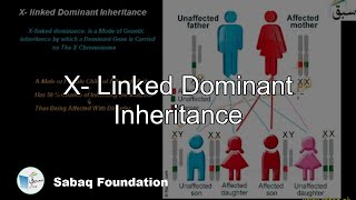 X linked Dominant Inheritance Biology Lecture  Sabaqpk [upl. by Adirahs]