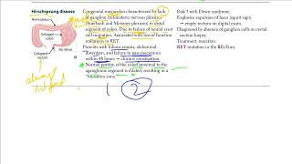 Hirschsprung Disease  USMLE STEP 1 [upl. by Atiloj660]