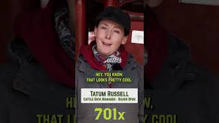 Tatum from Silver Spur Ranch Testimonial cattlerancher agtech [upl. by Anjanette]