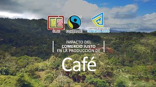 Nicaragua El impacto del Comercio Justo en la producción de CAFÉ [upl. by Doughman]