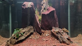 The AQUA SCAPING  A Special Video [upl. by Anaicul]