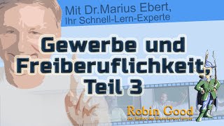 Gewerbe und Freiberuflichkeit ● Teil 3 Zusammenhang von Gewerbe und Kaufmannseigenschaft [upl. by Annahsit117]