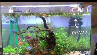 Eheim 250  Canister filter  setup video [upl. by Joanie407]