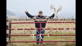 MASSIVE ANTLERS  BEST OF 20202023 Shed Hunting [upl. by Rehptsirhc649]