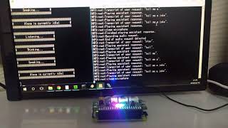 Raspberry Pi Zero W with ReSpeaker 2Mics Hat running Google Assistant amp Alexa simultaneouslyVer2 [upl. by Enajiram408]