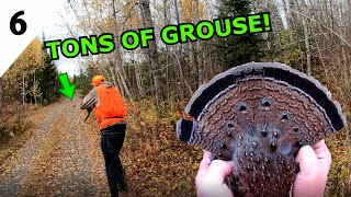 I LIMITED OUT In 30 Minutes While GROUSE HUNTING In Northern Ontario [upl. by Kudva]