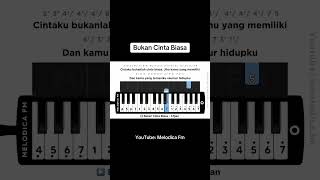 Bukan Cinta Biasa pianika tutorial [upl. by Berey589]