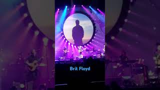 britfloyd afas concert coverband live afaslive amsterdam music livemusic [upl. by Aes758]