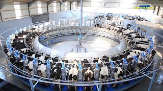 The Incredible Rotary Milking Parlour from Dairymaster [upl. by Anayad]