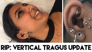 Vertical Tragus Piercing Update  Why I Retired My Surface Tragus Piercing  Healing Experience [upl. by Lorene395]