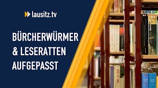 Kurznachrichten aus Cottbus und Umgebung  Nachrichten vom 160724 [upl. by Gnaoh626]