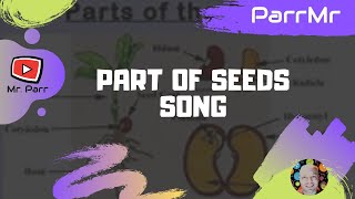 Part of Seeds Song [upl. by Nic]