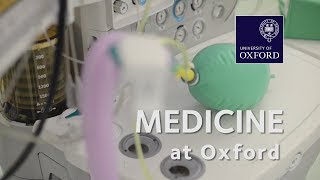 Medicine at Oxford University [upl. by Sergo]