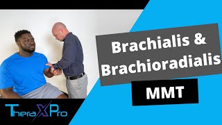 Manual Muscle Test  Brachialis and Brachioradialis [upl. by Olemrac]