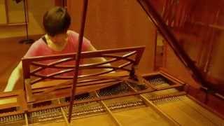 Chopin Prelude 24 excerpt Kimiko practising on the Pleyel in Manifold Recordings [upl. by Aseek]