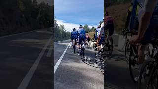 When Team SD Worx amp AlpecinDeceuninck become your cycling companions for a couple of minutes 😅 [upl. by Domenico]