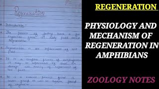 REGENERATION PHYSIOLOGY AND MECHANISM OF REGENERATION IN AMPHIBIANS NOTES [upl. by Dnalerb26]