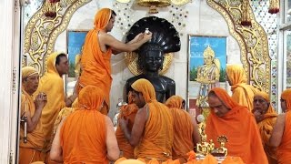 Worshiping Lord Mahavira by Digambar Jains [upl. by Gio]