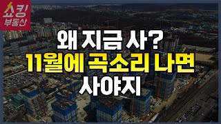 11월 올림픽파크포레온 역전세난이 기회다 VS 아니다 지금이다 [upl. by Yelak]