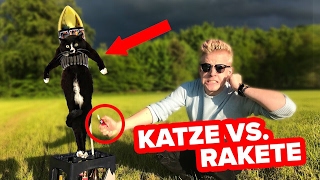 EXPERIMENT  KATZE vs RAKETE  😱💥 II RayFox [upl. by Hailat]