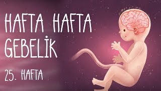 Hafta Hafta Gebelik 25 hafta [upl. by Norvall]