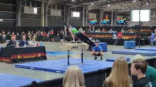 Pommel 2024 Western Nationals Arizona [upl. by Whitelaw786]