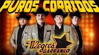 Los Alegres Del Barranco  Puros Corridos Mix  30 Exitos [upl. by Merras185]