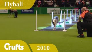 Flyball  Team Finals 2010  Crufts Dog Show [upl. by Rettke]