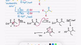 225 Acetoacetic Ester Synthesis [upl. by Mabelle]