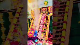 Ayyappa padipooja shabarimala manikanta kottayam kerala viralreels trending short 2024 [upl. by Beth]