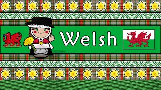 WELSH PEOPLE CULTURE amp LANGUAGE [upl. by Nodal]