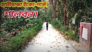 কি হচ্ছে হাতীবান্ধা শালবনের গহীনে Shalbon Hatibandha Lalmonirhat [upl. by Carine17]