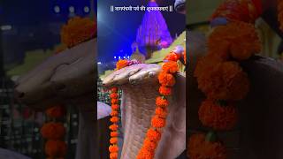 mahakaleshwar Jyotirlinga ujjain shorts mahakal [upl. by Southworth907]