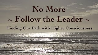 No More Follow the Leader  Finding Our Path with Higher Consciousness [upl. by Nawj155]