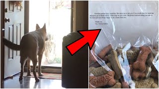 Grieving Owner Knows Mailman Always Brings Treats For Late Dog Leaves Touching Note For Her [upl. by Obeded]