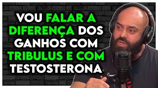 TRIBULUS TERRESTRIS TEM GANHOS PARECIDO COM HORMÔNIOS ESTERÓIDES AUMENTA A TESTOSTERONA  Kaminski [upl. by Mateya348]