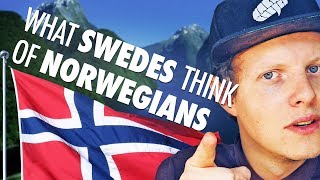 What Swedes Think Of Norwegians [upl. by Ahtelra]