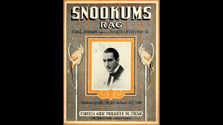 SNOOKUMS RAG JOHNSON 1918 [upl. by Yrred]