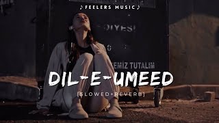 Dil E Umeed Tora Hai Kisi Ne  SlowedReverb  Feelers Music [upl. by Ignaz612]